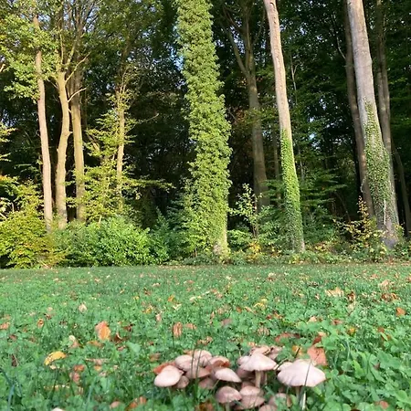 Studio Independant - 2 Personnes - Namur